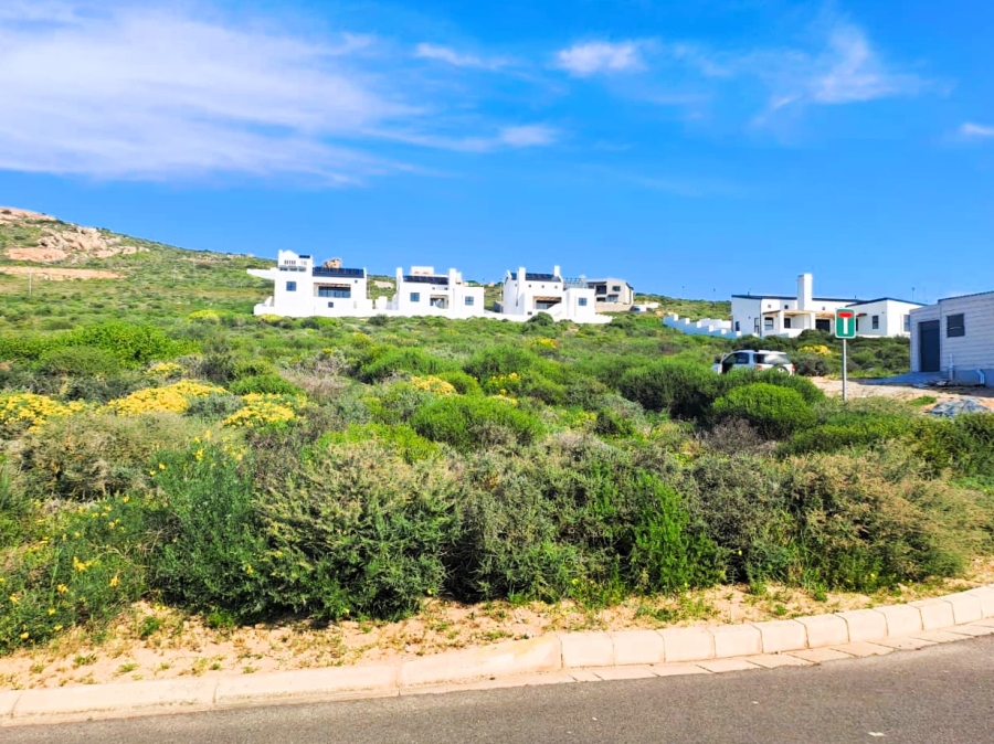 0 Bedroom Property for Sale in Steenbergs Cove Western Cape